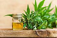 Reasons Behind Increasing Demand Of CBD Hemp Oil