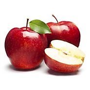 Directory of Apple fruit suppliers and manufacturers