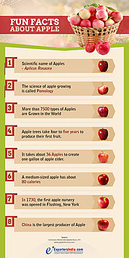 Unknown & interesting Facts of Apple