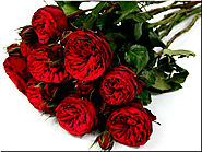 How To Send Red Roses In Kolkata | Shopping 2033
