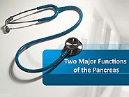 Two Major Functions of the Pancreas by Dr. Vikas Singla