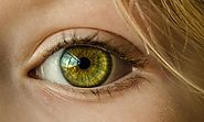 Eye Health Knowledge - Know About Best Vitamins and Supplements