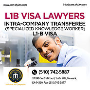 L1B Visa Intra-company Transferee (Specialized Knowledge Worker)