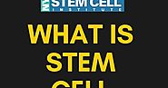 What is the role of the stem cells in the process of stem cell therapy in NYC?