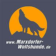 0 Marxdorfer Wolfshunde