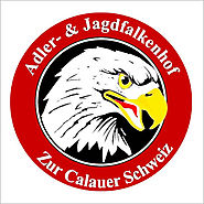 0 Adler und Jagdfalkenhof zur Calauer Schweiz - Dirk von Bargen