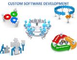 Custom Software Development- A Business Resource