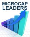 Top Micro Cap Stock Picks for Individual Investors