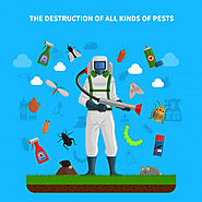 Preparing Your Home For Different Types Of Pest Control Management