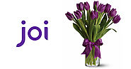 Joi Gifts Valentine's Day Offer - 15% Off on Gifts Collection