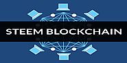 Steem Blockchain- Building Incentivized, Public Web Content Platforms - Steem Experts