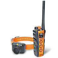 Dog Training E-Collars for Hunting | Electronic Dog Collars for Sale