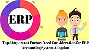 Top 3 important Factors Need Consideration for Accounting ERP Software Adoption