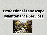 Professional Landscape Maintenance Services