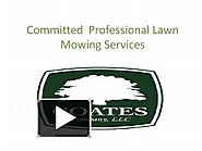 Committed Professional Lawn Mowing Services