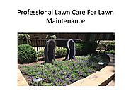 Professional Lawn Care For Lawn Maintenance