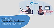 How to Hire Drupal Developers For Your CMS