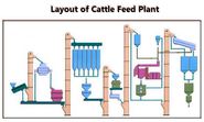 Summing Up the Advantages of Different Cattle Feeds Produced in Manufacturing Plants