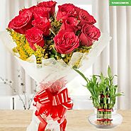 Red Roses And Luck Hamper Online - Yuvaflowers.com