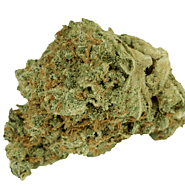 Bruce Banner Marijuana Strain - Hybrid
