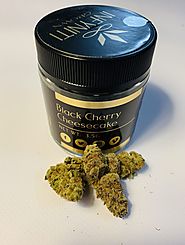 Infyniti Black Cherry Cheesecake Cannabis | Indica Weed
