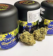 Jungle Juice Cannabis Strain - Royal Tree | Sativa Weed | Pot Valet