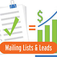 Leading Email List Database Provider in the USA