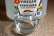 Vinegar / water