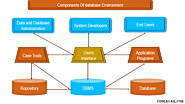 Database Management System Assignment Help by Professionals