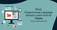 What programming language should I learn first for Future