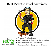 Residential Pest Control In Bangalore
