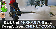 Chikungunya Control In Bangalore