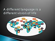 Language Immersion Programs