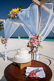 Gorgeous Decor and Wedding Trappings