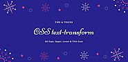 CSS text-transform - CSS All Caps, Upper, Lower & Title Case Examples
