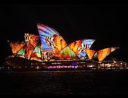 What makes a Vivid Sydney cruise special?