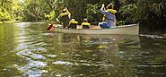 25 Things To Do Outdoors in Gainesville, Florida | Sportody