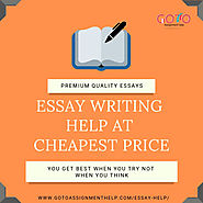 Get Excellent Help with Essay Assignment Online