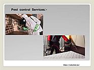Pest Control & Cleaning Services Dubai