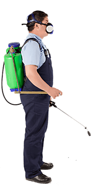 Carpet Steam Cleaner | Carpet Steam Cleaning Brisbane, Logan & Ipswich Area