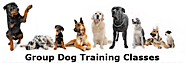 6. A Long Tradition Of Dog Training