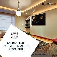 Best Dimmable LED Eyeball Downlights Online
