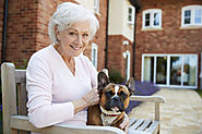 The Best Dog Breeds for Retirees