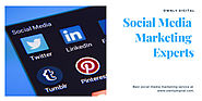 Social Media Marketing Services | Best SMM Agency India - OwnlyDigital