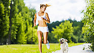 Keeping your Dog Physically Active