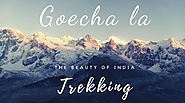 Thinking about going for Goechala Trek? Here’s what you need to know