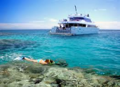 Visit the Great Barrier Reef
