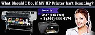 What Should I Do, if MY HP Printer Isn’t Scanning?