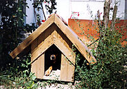 Is your pet's kennel protected from the elements?
