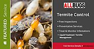 Useful Termite Treatment Steps For Termite Control